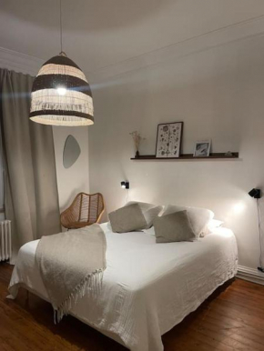 Grand appartement entier en hyper centre a 10 minutes de lille, métro a 50m et la gare de Tourcoing et à 900m et parking a proximité